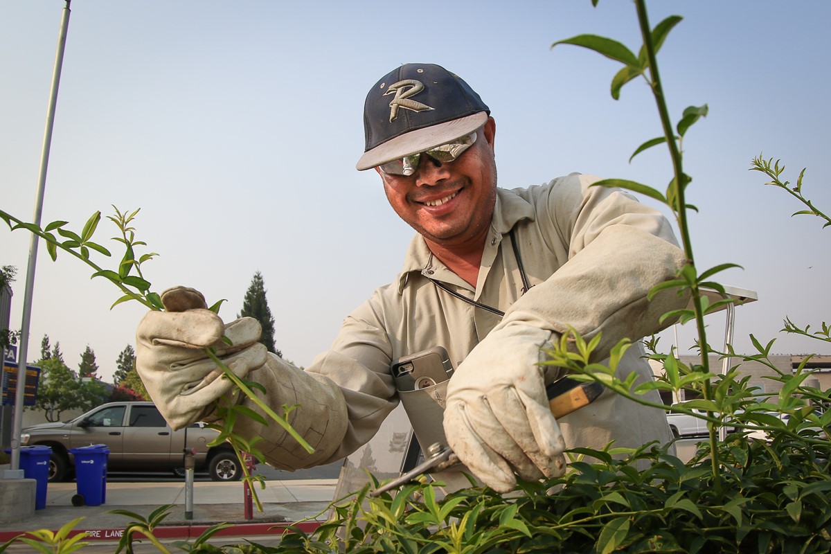 Grounds crew cutting plants