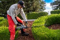 Groundskeeper hedge trimming at Lamonica Stadium